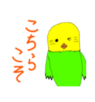 ダラッとインコちゃん（個別スタンプ：15）