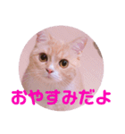 色々ゆめちゃんスタンプ（個別スタンプ：1）