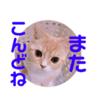 色々ゆめちゃんスタンプ（個別スタンプ：9）