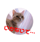 色々ゆめちゃんスタンプ（個別スタンプ：18）