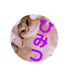 色々ゆめちゃんスタンプ（個別スタンプ：20）