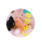 レオたんスタンプパート2（個別スタンプ：7）