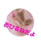 レオたんスタンプパート2（個別スタンプ：10）