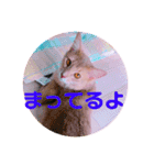 レオたんスタンプパート2（個別スタンプ：15）