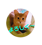 レオたんスタンプパート2（個別スタンプ：18）
