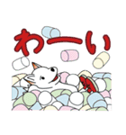 クルツはスニーカー犬 第2弾（個別スタンプ：1）