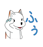 クルツはスニーカー犬 第2弾（個別スタンプ：21）