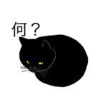 ぶあいそうなねこ。（個別スタンプ：14）