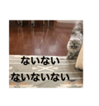 上からキーちゃん1（個別スタンプ：2）