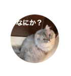 上からキーちゃん1（個別スタンプ：3）