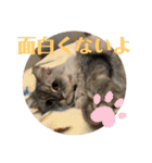 上からキーちゃん1（個別スタンプ：10）