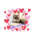 上からキーちゃん1（個別スタンプ：15）