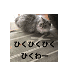 上からキーちゃん1（個別スタンプ：18）