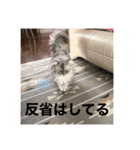 上からキーちゃん1（個別スタンプ：19）