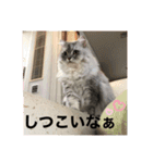 上からキーちゃん1（個別スタンプ：20）