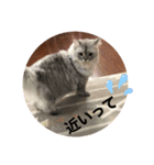 上からキーちゃん1（個別スタンプ：22）