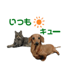 お庭わんラス太＆ボブ（個別スタンプ：2）