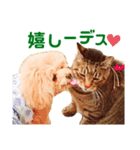 お庭わんラス太＆ボブ（個別スタンプ：4）