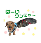お庭わんラス太＆ボブ（個別スタンプ：6）