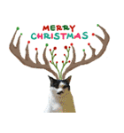 猫ルキーの家族 のクリスマス(冬)（個別スタンプ：9）