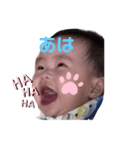 eigi5（個別スタンプ：1）