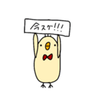 あかちょうネクタイのひよこ2（個別スタンプ：8）