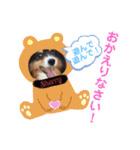 愛犬シェリーちゃんだよ（個別スタンプ：8）