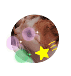 プリンセスキャット（個別スタンプ：1）