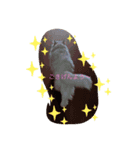 プリンセスキャット（個別スタンプ：4）