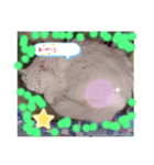プリンセスキャット（個別スタンプ：8）