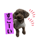 ひじきさんとゆかいな家族 vol.3（個別スタンプ：2）