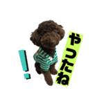 ひじきさんとゆかいな家族 vol.3（個別スタンプ：3）