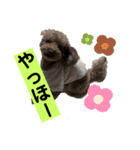 ひじきさんとゆかいな家族 vol.3（個別スタンプ：5）