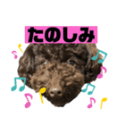 ひじきさんとゆかいな家族 vol.3（個別スタンプ：6）