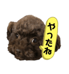 ひじきさんとゆかいな家族 vol.3（個別スタンプ：9）