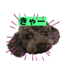 ひじきさんとゆかいな家族 vol.3（個別スタンプ：18）