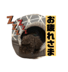 ひじきさんとゆかいな家族 vol.3（個別スタンプ：20）