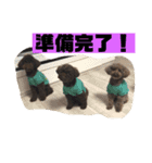 ひじきさんとゆかいな家族 vol.3（個別スタンプ：24）