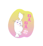 にゃーこ白いふわふわ（個別スタンプ：5）