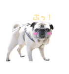 ばん語（個別スタンプ：12）