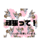 コーギー39 No.4（個別スタンプ：14）