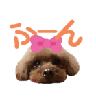 我が家のあろはちゃん❷（個別スタンプ：6）