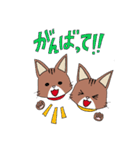 うちのソマリさん親子スタンプ（個別スタンプ：1）
