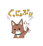 うちのソマリさん親子スタンプ（個別スタンプ：18）