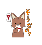 うちのソマリさん親子スタンプ（個別スタンプ：19）