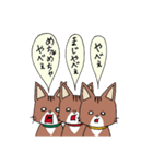 うちのソマリさん親子スタンプ（個別スタンプ：28）