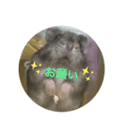 ジャンハムのジャガ（個別スタンプ：2）