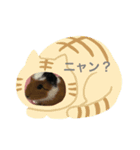 モルモットのゴマ（個別スタンプ：8）