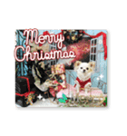 チワワももちゃん 年賀・正月・クリスマス（個別スタンプ：16）