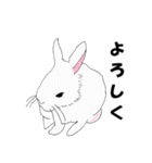 ふれあい自然公園（個別スタンプ：1）